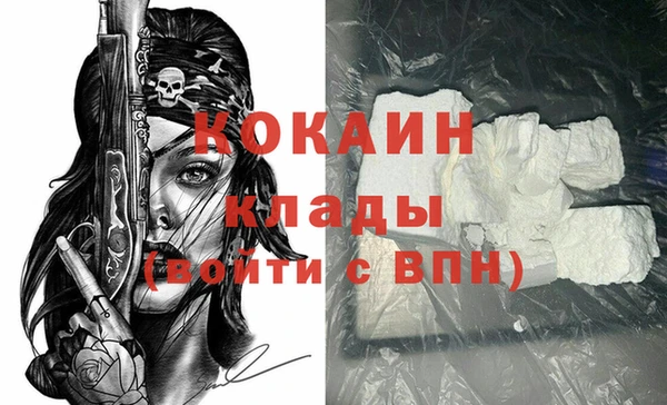 гидра Ельня