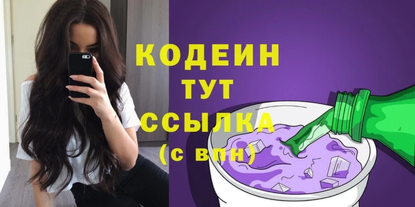 гидра Ельня