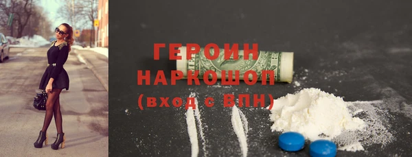 гидра Ельня