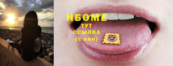 гидра Ельня