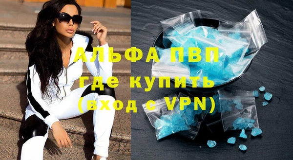 гидра Ельня