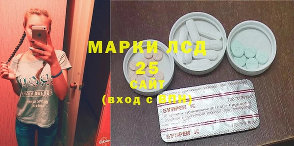 гидра Ельня