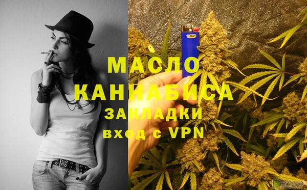 гидра Ельня
