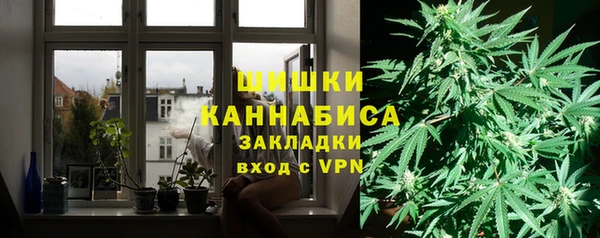 МДПВ Елабуга