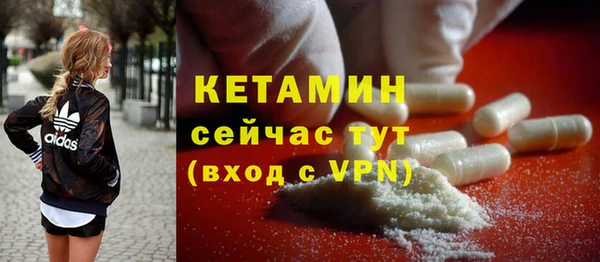 гидра Ельня