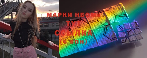 гидра Ельня