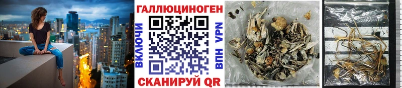 где купить наркоту  Ивантеевка  Галлюциногенные грибы мухоморы 