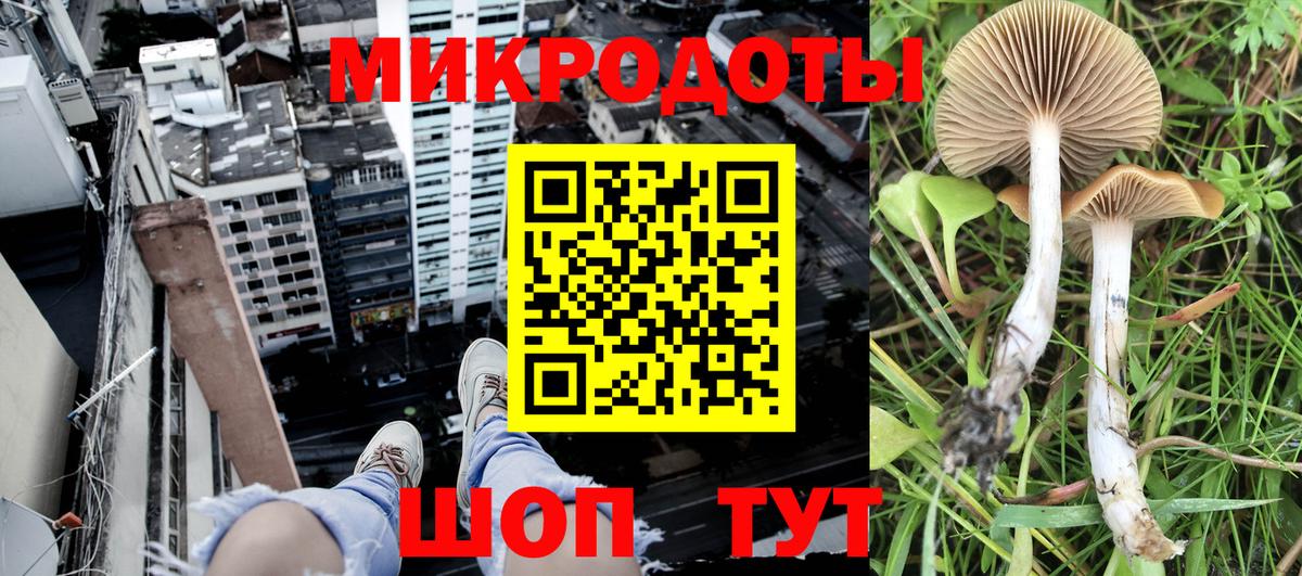 Галлюциногенные грибы мухоморы  Вход с VPN  даркнет сайт  Ивантеевка 