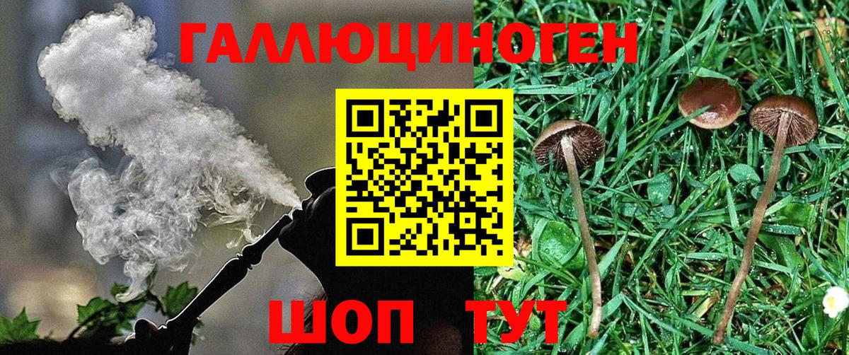 Галлюциногенные грибы GOLDEN TEACHER Ивантеевка